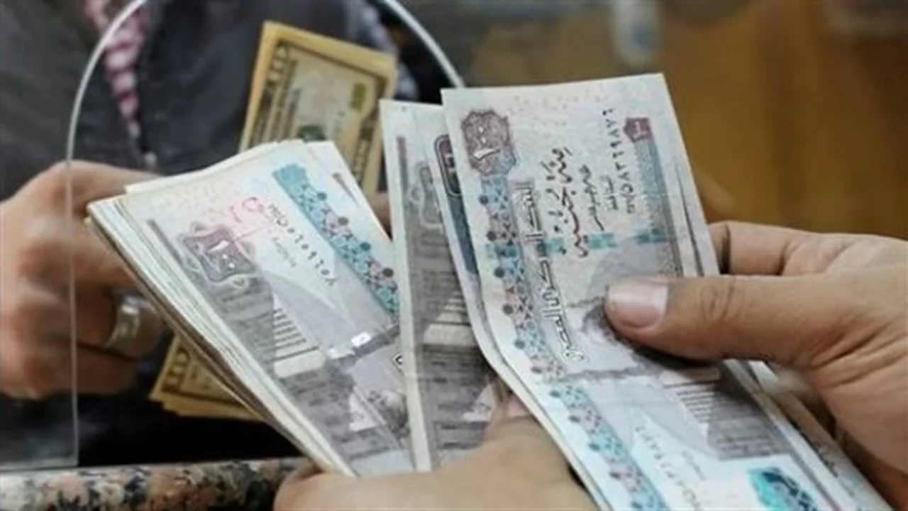 تفاصيل جديدة شروط وزارة التضامن وبرامج دعم الفئات الأولى بالرعاية 2026